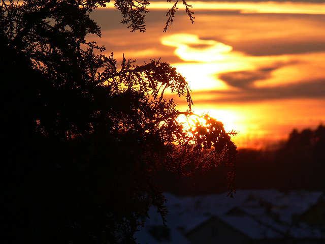 Sunset 2009-02-19 (1)