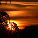 sunset 2009-02-19 (4)