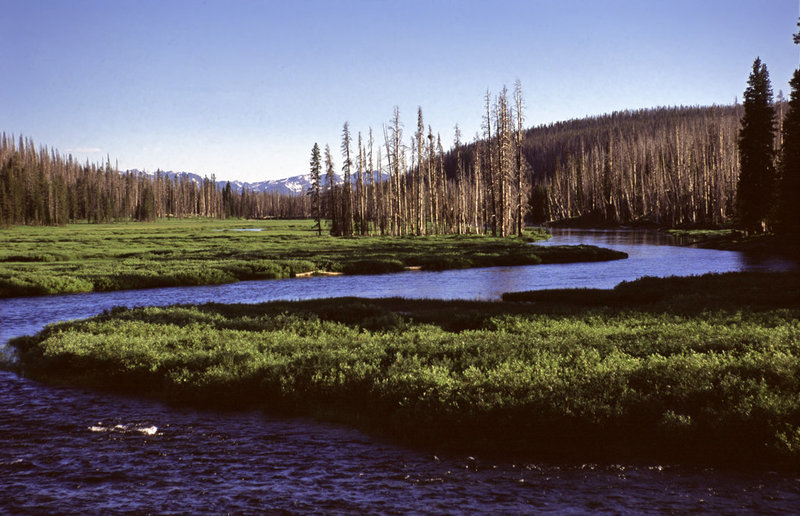 Winding blue river