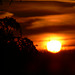 sunset 2009-02-19 (5)
