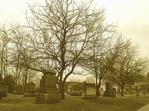 Cimetière et église  / Church and cemetery  -  Ormstown.  Québec, CANADA.  29 mars 2009- Sepia