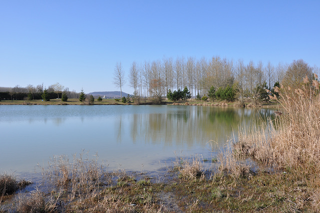 C'est le printemps