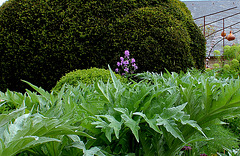 Point de vue Point de vue