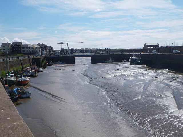 Maryport 4