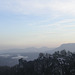 Blick von der Bastei auf den Lilienstein