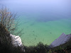 Kalkfelsen auf Rügen