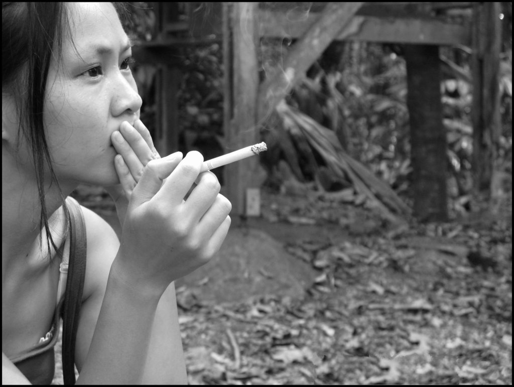 S., Guyane, 2008