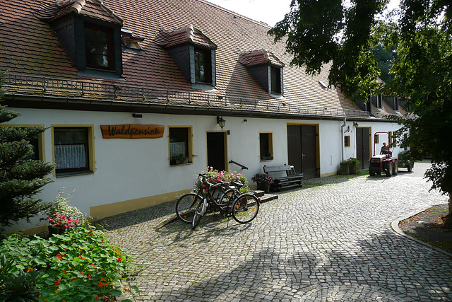 Spaziergang am Fasanenschlößchen - Moritzburg - August 2008