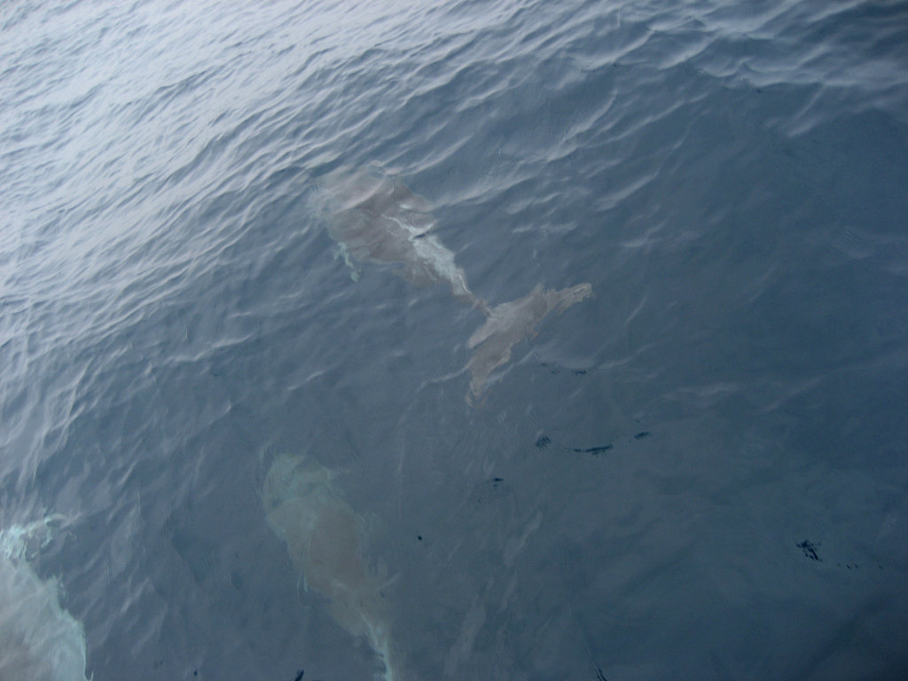 Strait of Gibraltar, ghosts at sea