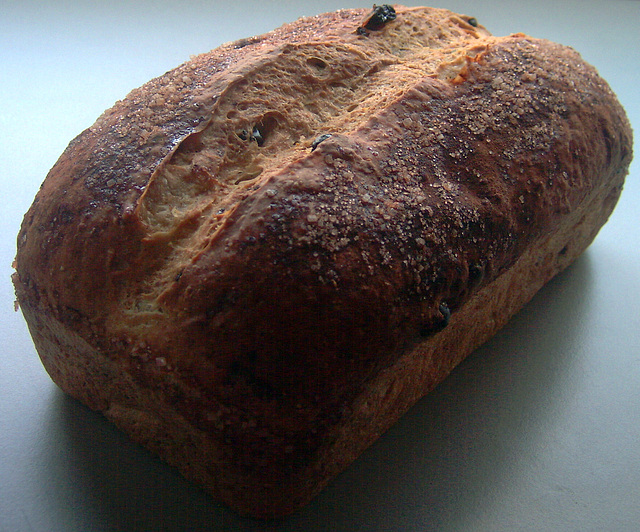 everyday oatmeal honey-raisin bread