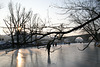 danube on ice - 2