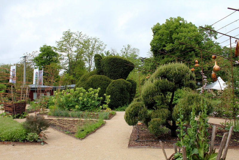 Une vue du potager  (5)