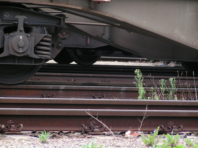 Mannheim Seckenheim Bahnhof 34