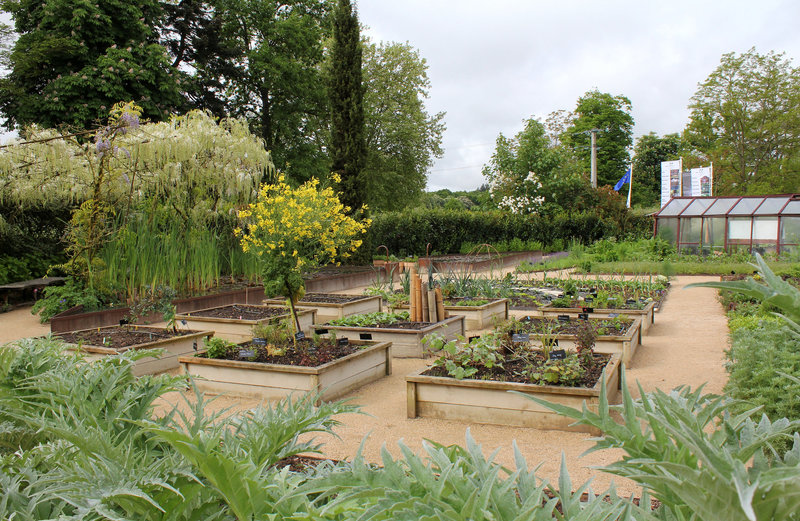 Vue sur les carrés