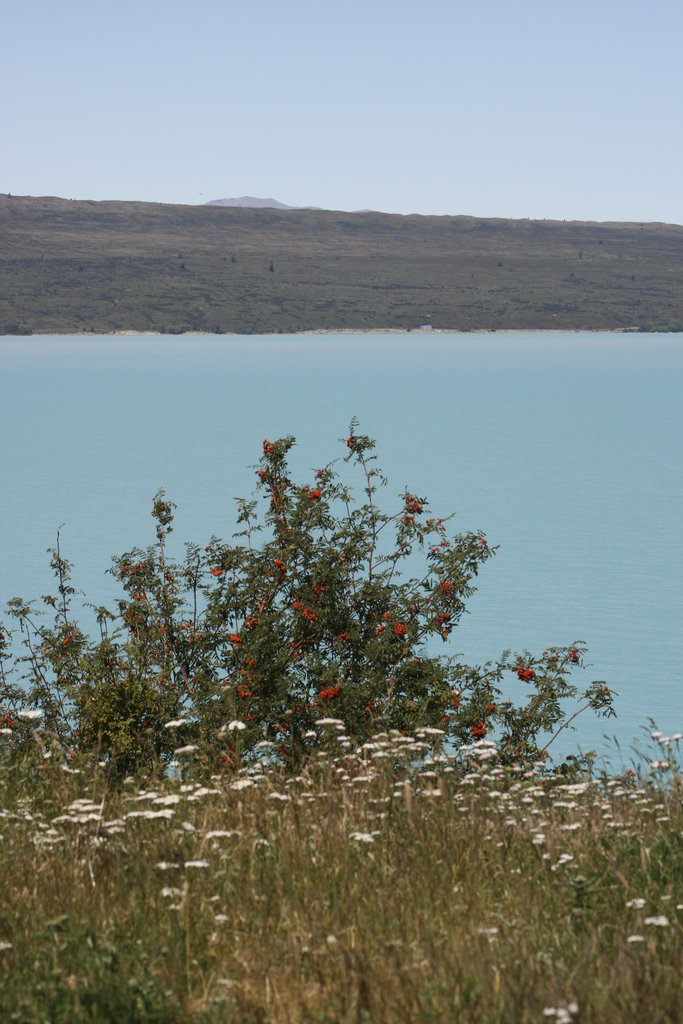 Lake Pukaki