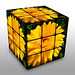 Flower Cube*