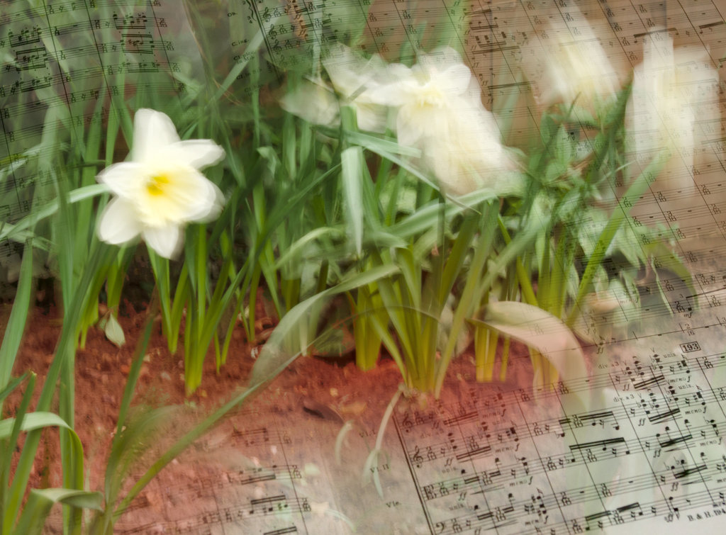 Cent ans du Le Sacre du Printemps – 100 years of The Rite of Spring – The Coronation of Spring – Vesna Svyashchennaya - Весна Священная - Pictures from Pagan Russia
