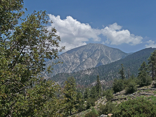 Mt San Jacinto (0394)