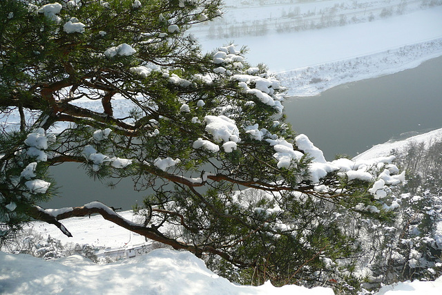 Bastei im Winter - minus 4°C