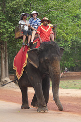 Elephant at Angkor Thom