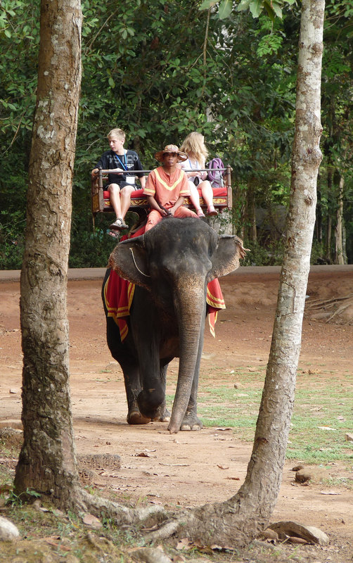 Angkor Thom- Return of the Pachyderm