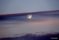 4 pm Full Moon 5190052848 o