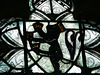 shimpling heraldic glass c14 lion