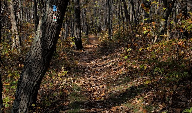 High Point State Park