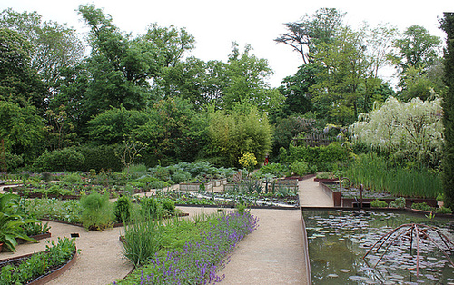 Vue sur le potager