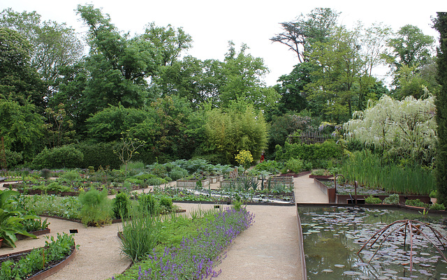 Vue sur le potager