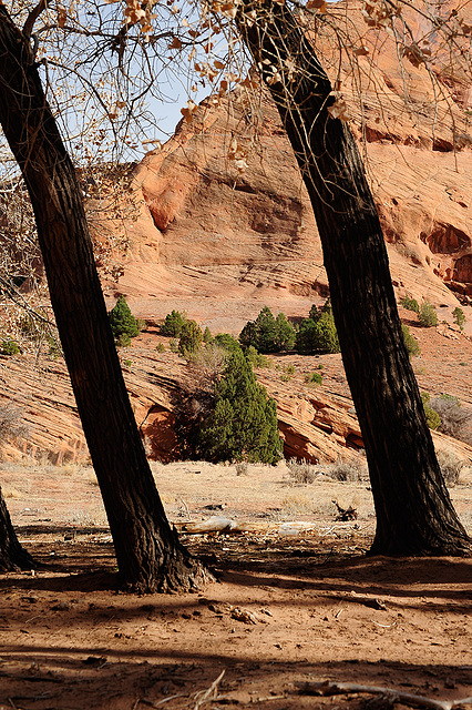 Canyon de Chelly (AZ)