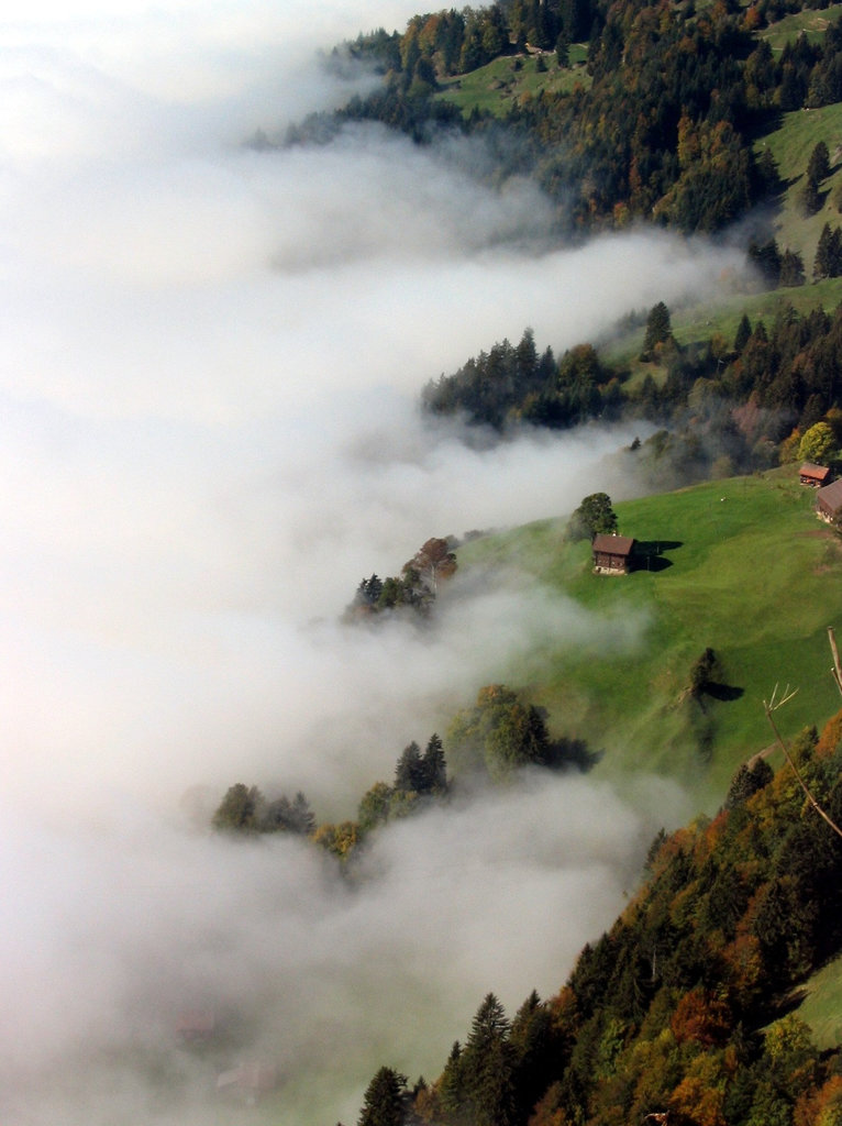 Nebelmeer