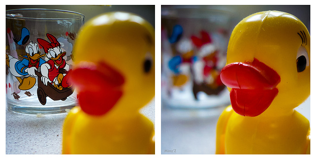 canard "effects"