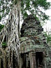 Ta Prohm- Reclaimed by the Jungle #4