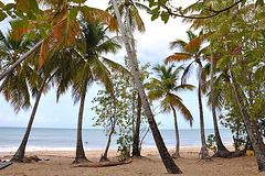 MARTINIQUE