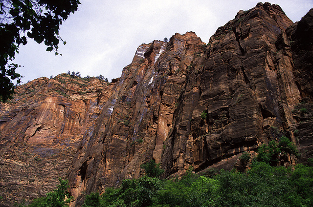 The Zion Mountain Blues - 4