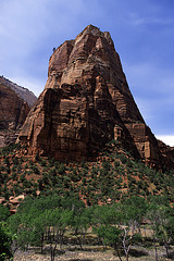 The Zion Mountain Blues - 5