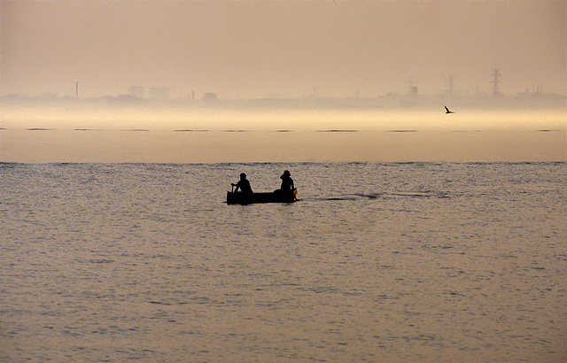 Two in a boat, a bird, a silhouette and yellow evening fog in the sunset.......