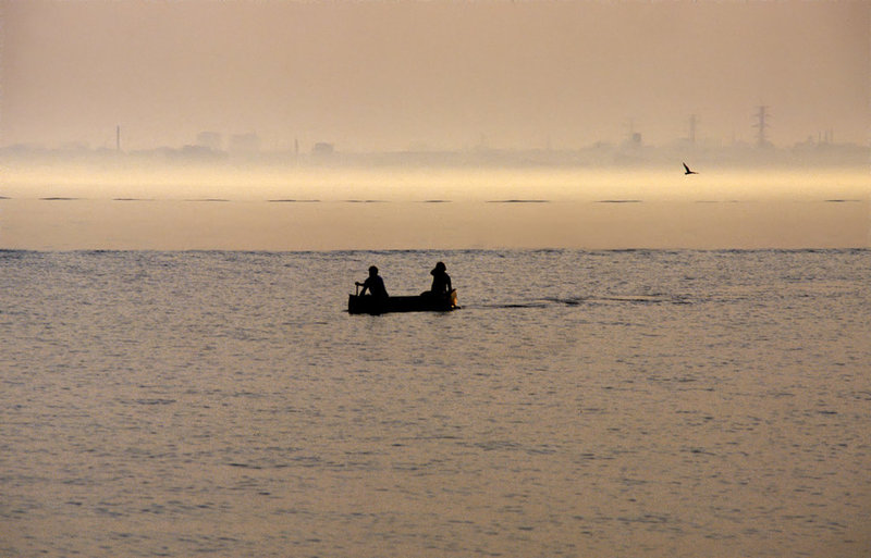 Two in a boat, a bird, a silhouette and yellow evening fog in the sunset.......