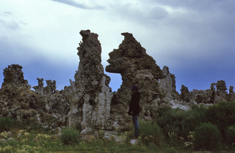 Stone creatures at the Mono Lake