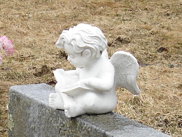 Mountain view cemetery. Saranac lake area.  NY. USA . March 29th 2009