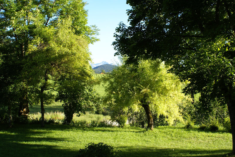 DSC00612