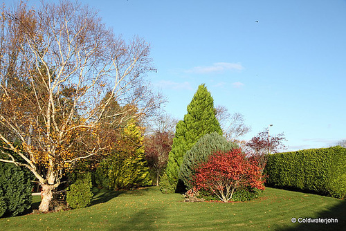 Autumn colours at dawn