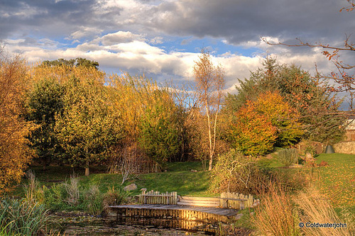 Autumn colours in early evening sunlight