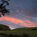 Autumn Evening Skies