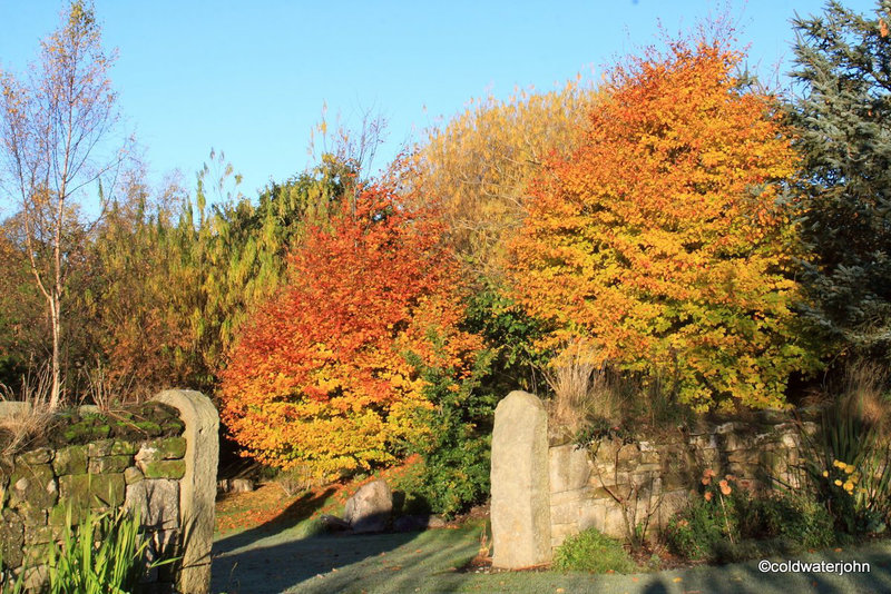 Autumn Frost and sunshine