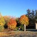 Autumn Frost and sunshine