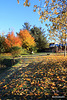 Autumn Frost and sunshine