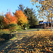 Autumn Frost and sunshine