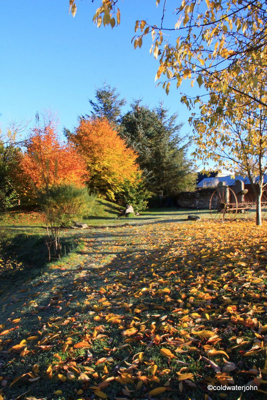 Autumn Frost and sunshine